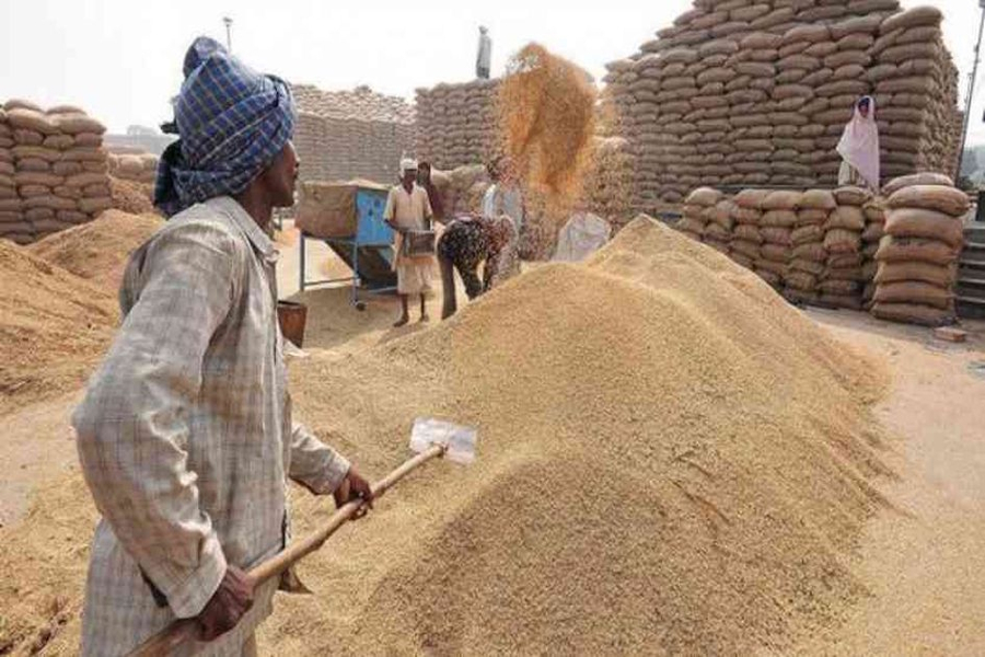 Only two farmers who came to sell wheat हजार का पंजीयन, गेहूं बेचने पहुंचे सिर्फ दो किसान