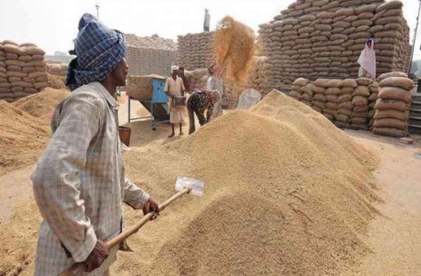 wheatNo action on sending food grains from ration shops to market distribution for ration shops राशन दुकान से खाद्यान्न बेचने बाजार में भेजने पर कार्रवाई नहीं