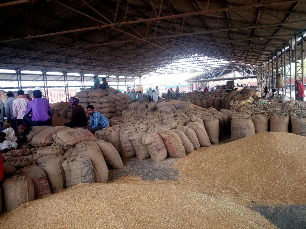 Farmers selling wheat in Mandi will also get 160 rupees bonus