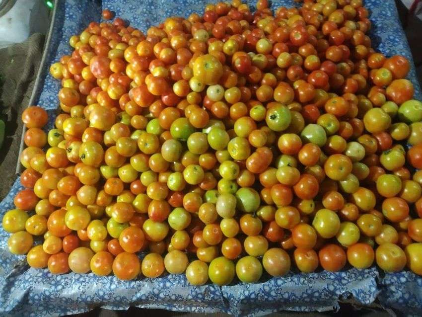 tomato