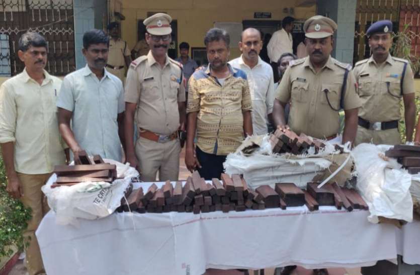 Caught 260 kg of red sandalwood sent to Delhi दिल्ली भेजी जा रही 260 किलो लाल चंदन की लकड़ी पकड़ी