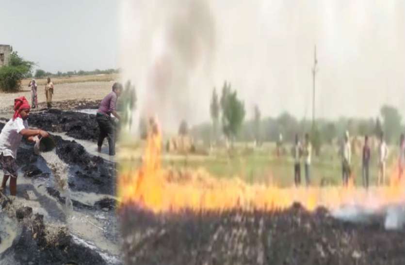 farmer wheat crop burned महिला किसान के परिवार पर टूटी बड़ी आफत, गेहूं की फसल जलकर हुई स्वाह, देखें वीडियो