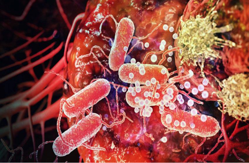 cancer उपाय जो बनेंगे सुरक्षा कवच
