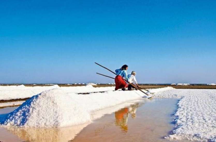Indian Salt भारतीय नमक बना यूरोप और अमरीका के लिए वरदान, आखिर क्यों?