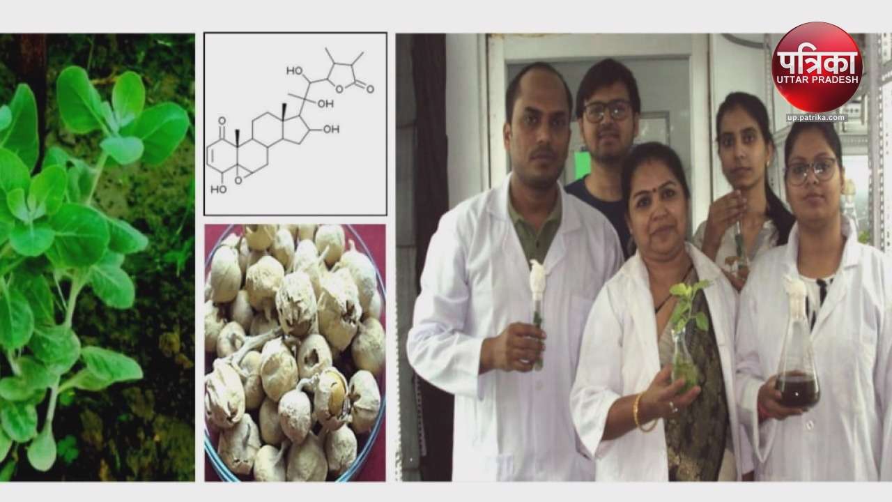 कैंसर की दवा पर शोध करने वाली टीम