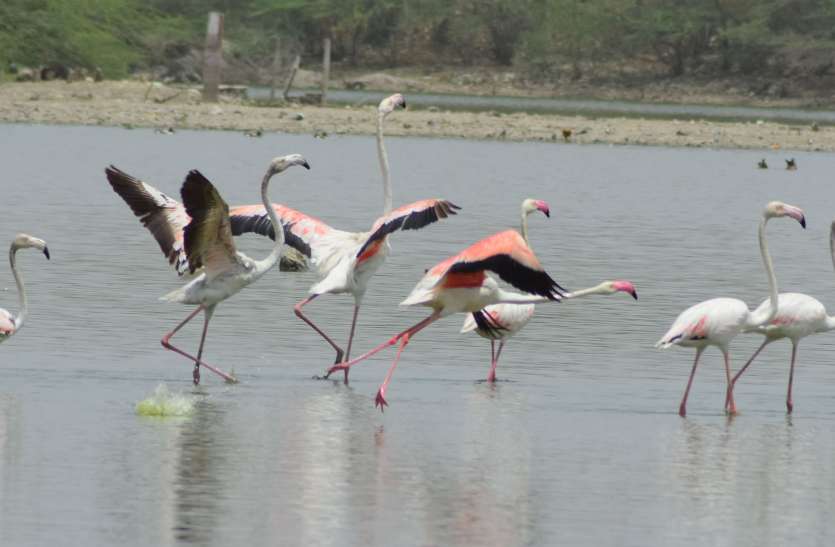 gundalaw-lake-water-day-falling-water-level रूठ न जाए विदेशी पावणे