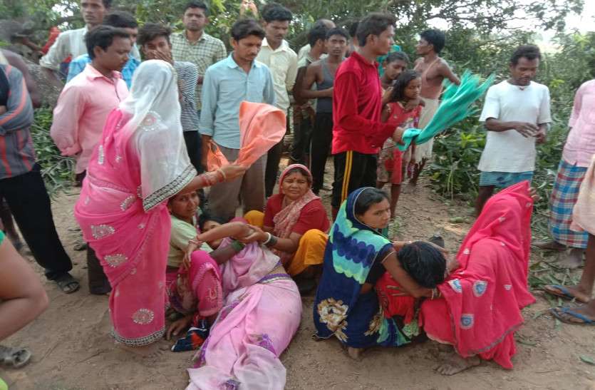 latest chhattisgarh news धूप से बचने छांव में बैठे मजदूरों पर कहर बनकर टूटा पेड़, 5 महिला समेत 7 घायल