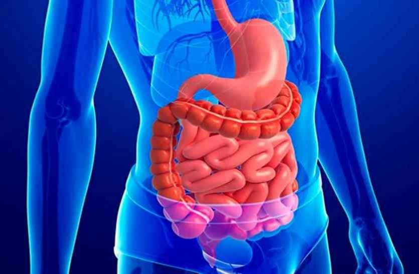 bile duct स्पाई ग्लास एंडोस्कोपी से पित्तनली का इलाज आसान