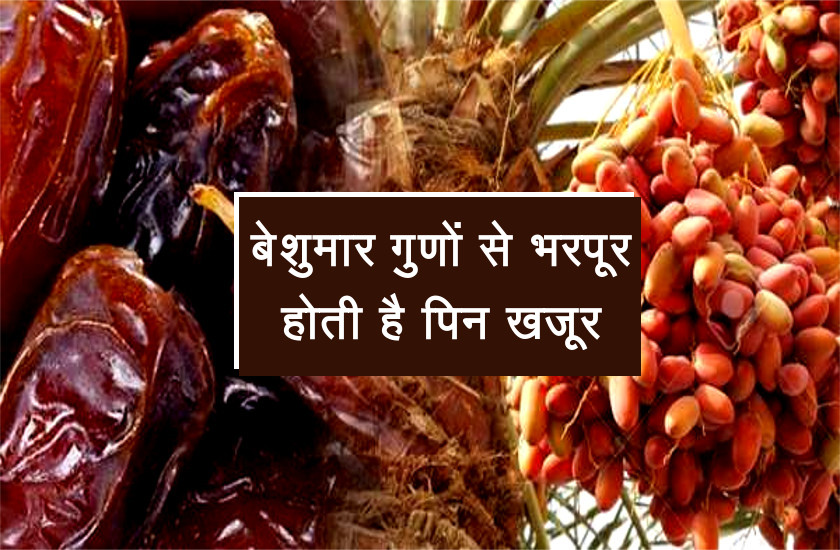 Health Benifits Of Dates Pin Khajoor स र फ 1 मह न ख ल स र फ 2 खज र इतन फ यद ह ग क रह ज ए ग ह र न Patrika News