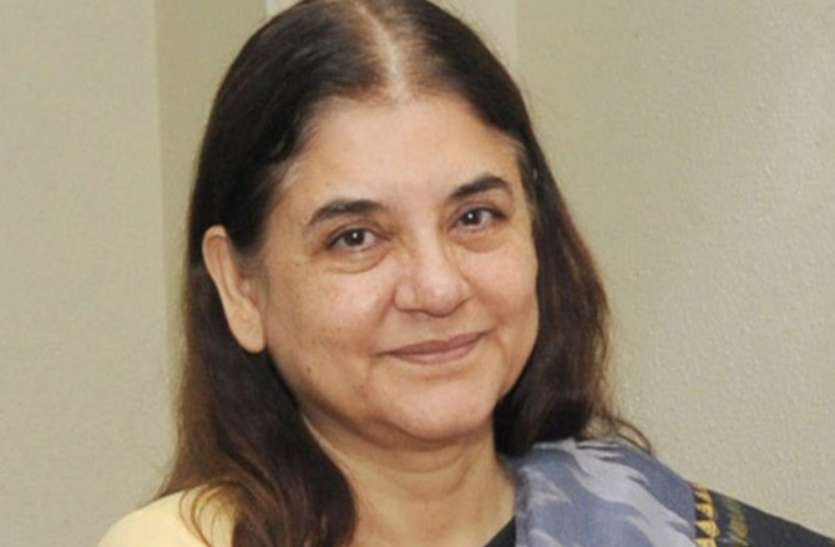 menka gandhi मेनका गांधी का जागा पशुप्रेम, कैंसर पीड़ित गधे के इलाज के दिए आदेश