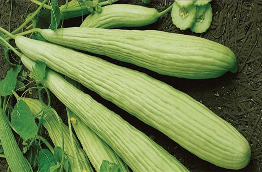 Cucumber is beneficial for weight loss वजन कम करने के लिए फायदेमंद है ककड़ी, एेसे करें सेवन
