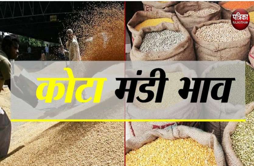 market update today s mandi rates of 10 th may market update: हजारो बोरी जिंसों की आवक... भाव स्थिर ! खाद्य तेलों का तेवर बरकरार...जानिए मंडी भाव