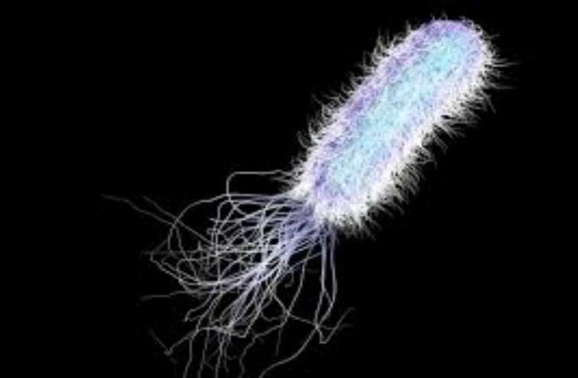 bacteri मिनटों में पता चलेगा शरीर में बैक्टीरिया है या नहीं, वैज्ञानिकों ने बनाया नया उपकरण