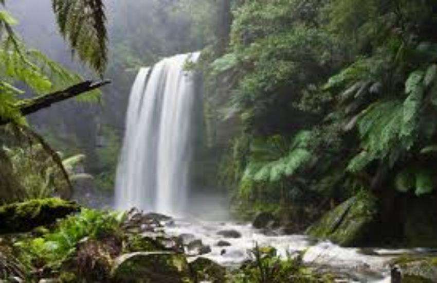 nature