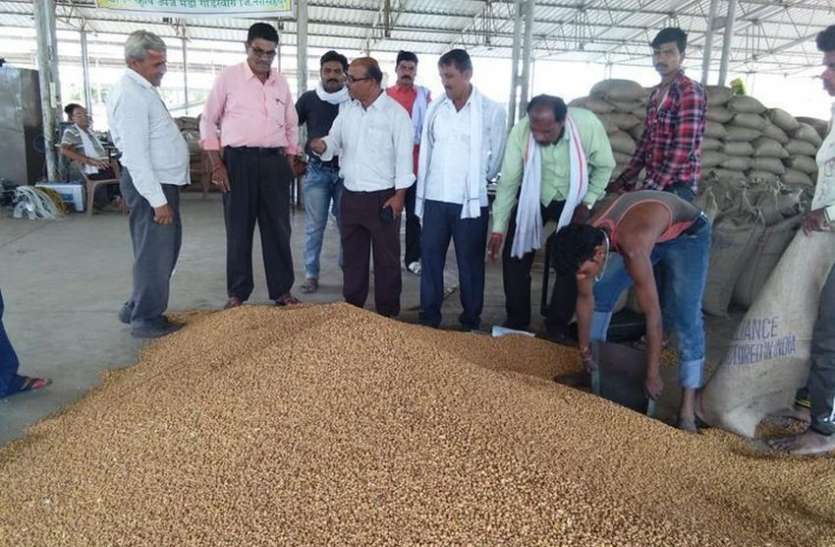 The prices of pulses came in bounce, know what is the reason दालों के दामों में आया उछाल, जानें क्या है कारण