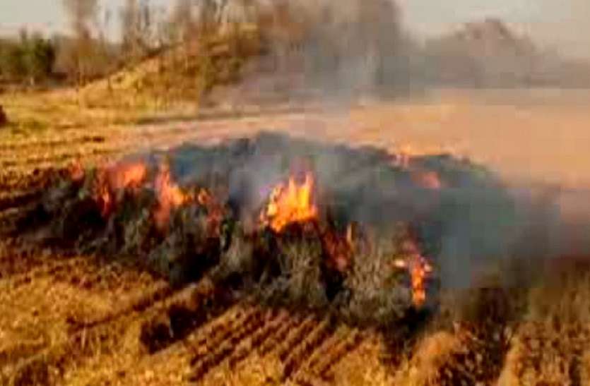 up news पोलिंग बूथ के पास खेत में लगी आग, रोका गया मतदान ईवीएम को बाहर निकाला गया
