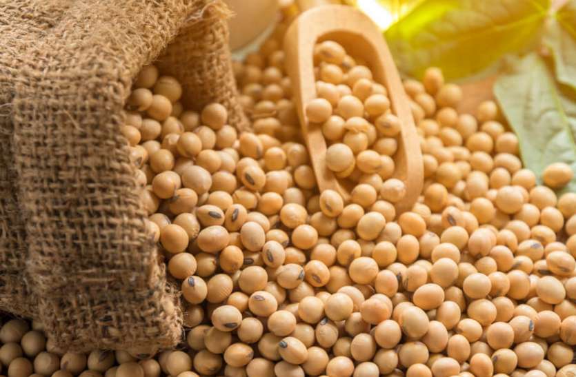 soybean Protein from soybeans :- सोयाबीन को डाइट में लेने से मिलता है भरपूर प्रोटीन