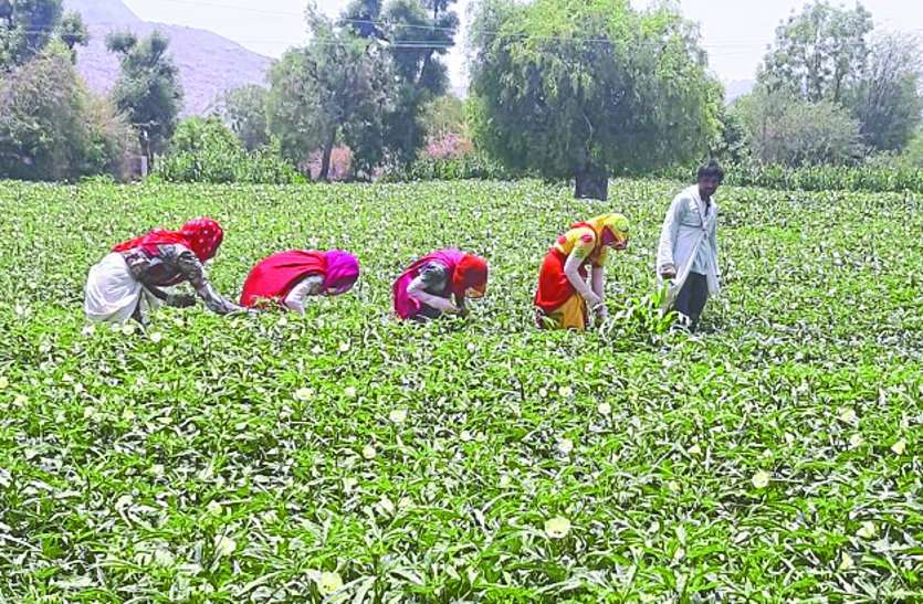 farmers किसानों के खेत की मिट्टी की सेहत से खिलवाड़ कर रहे ये अधिकारी, परीक्षण केन्द्र नहीं हुए चालू