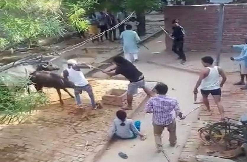 Dabang pradhan Attack on poor family for murder दबंग प्रधान ने गरीब परिवार पर किया हमला, आठ लोग हुए घायल, प्रधान समेत तीन गिरफ्तार