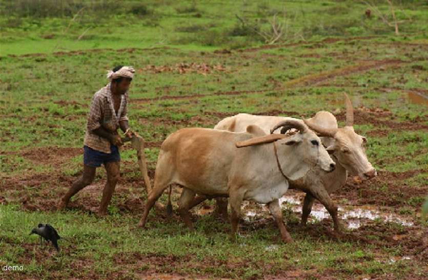 Farmer debt relief सरकार की कर्जमाफी के दावों के बीच कर्ज नहीं चुकाने पर पुलिस ने दो आदिवासी किसानों को भेजा जेल
