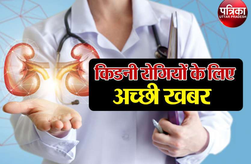 kidney किडनी को स्वस्थ रखते हैं गोखरू और पुनर्नवा