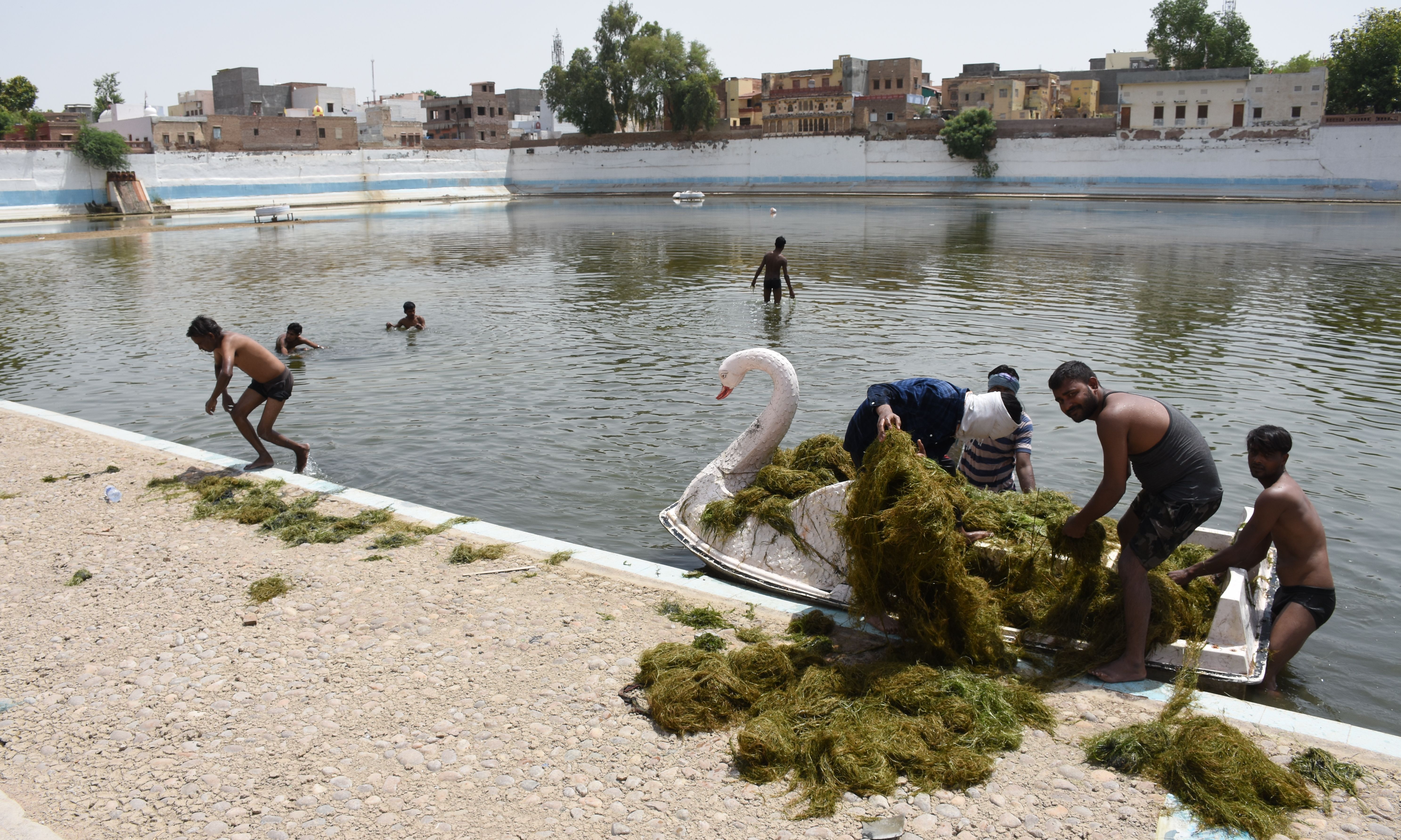 bikaner news- Cleaning of the soorsagar सूरसागर की सफाई शुरु, चालू होंगे फव्वारें