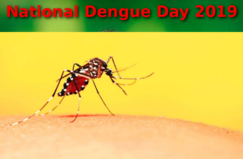 national-dengue-day-ayurvedic-and-homeopathic-methods-for-dengue National Dengue Day – जानिए डेंगू के इलाज के लिए आयुर्वेेदिक और होम्योपैथिक तरीके