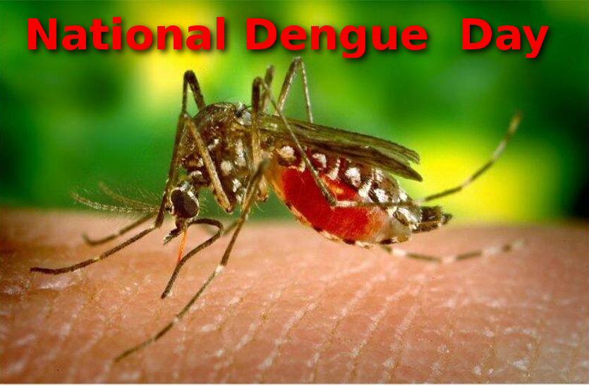 National Dengue Day 2019 - Know about dengue, symptoms, treatment | National  Dengue Day – डेंगू के बारे में जानिए खास बातें जो आप जानना चाहते हैं |  Patrika News