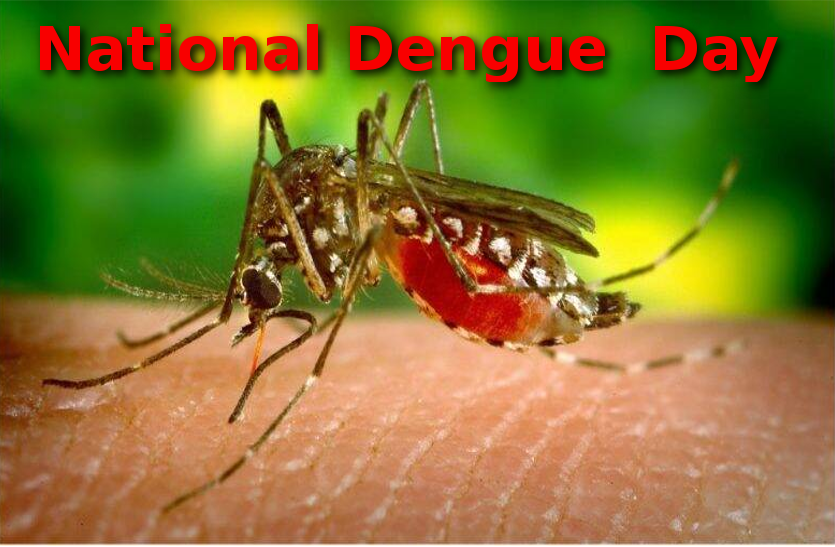 national-dengue-day-2019-know-about-dengue-symptoms-treatment National Dengue Day – डेंगू के बारे में जानिए खास बातें जो आप जानना चाहते हैं