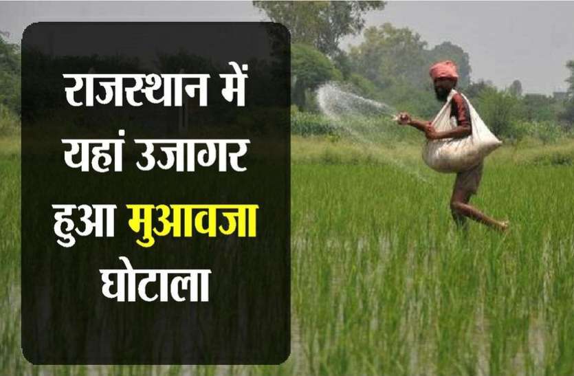 kota news SCAM : अब किसानों के नाम पर हुआ बड़ा खेल, दो बार बांट दिया लाखों का मुआवजा