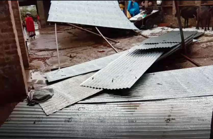 teenshade प्रदेश में भयंकर तूफान ने फिर बरपाया कहर, कई पेड़ धराशाही, उड़े टीनशेड, कई जगहों पर गिरे ओले