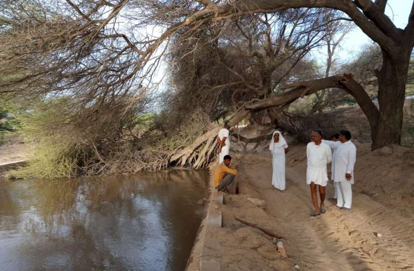 Farmers avoid knowingly break the canal in Bikaner किसानों की सूझबूझ से रोजड़ी नहर टूटने से बची