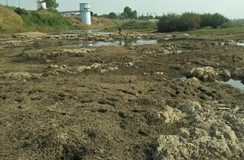 balaghat मई माह में ही सूखी वैनगंगा, डेथ स्टोरेज में पहुंचा पानी
