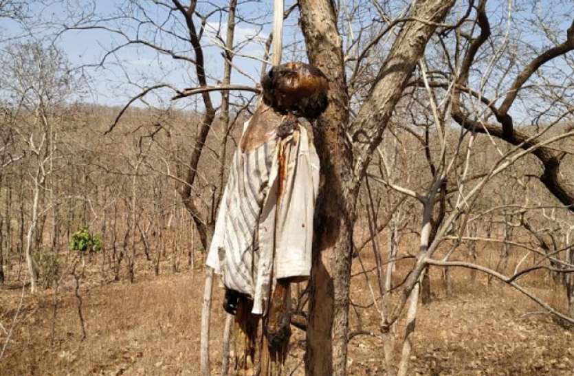 Old man found hanging on tree जंगल में पेड़ से लटका मिला वृद्ध का शव