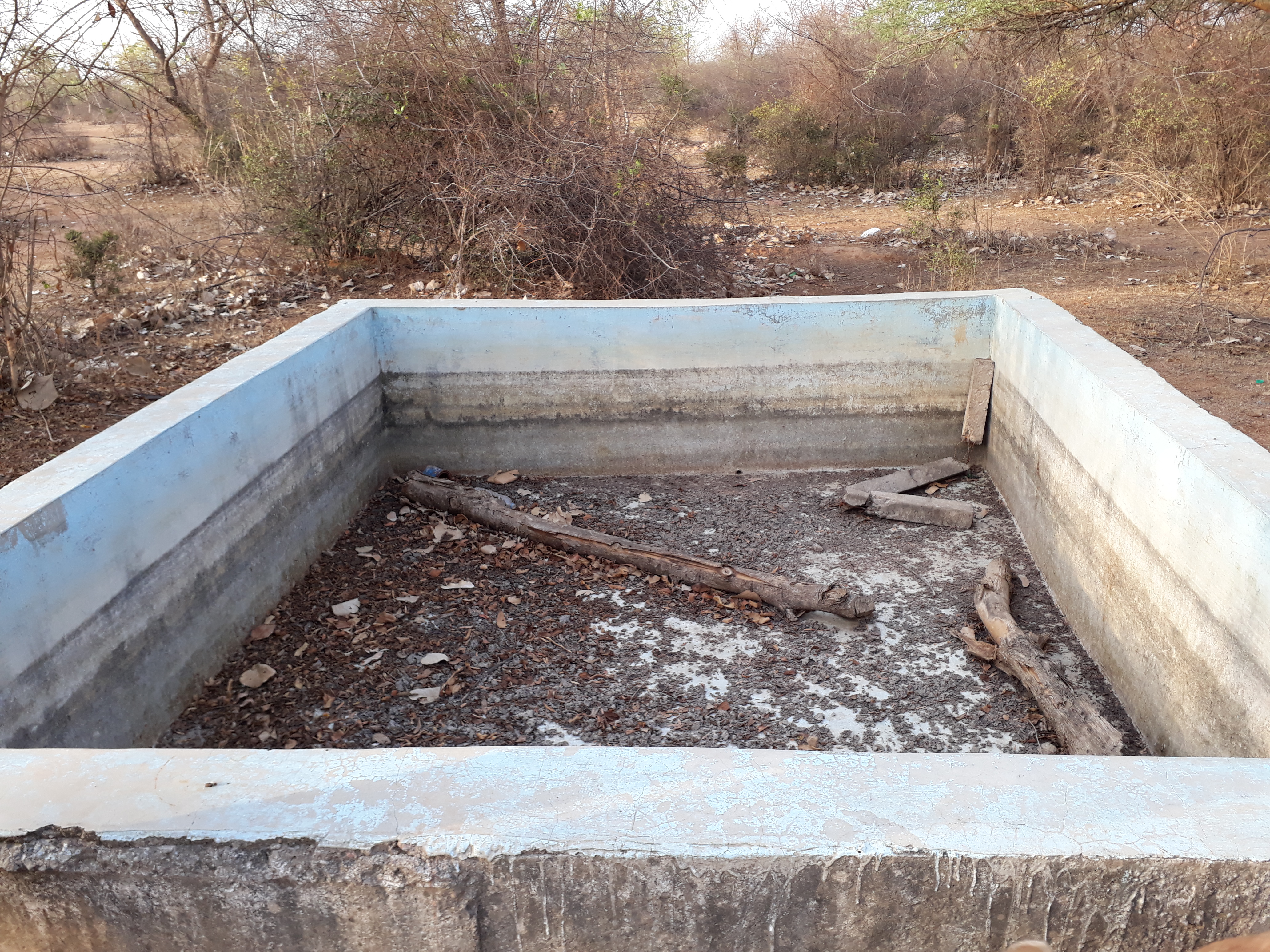 जंगलों में गहराया जानवरों के लिए पेयजल संकट जंगलों में गहराया जानवरों के लिए पेयजल संकट