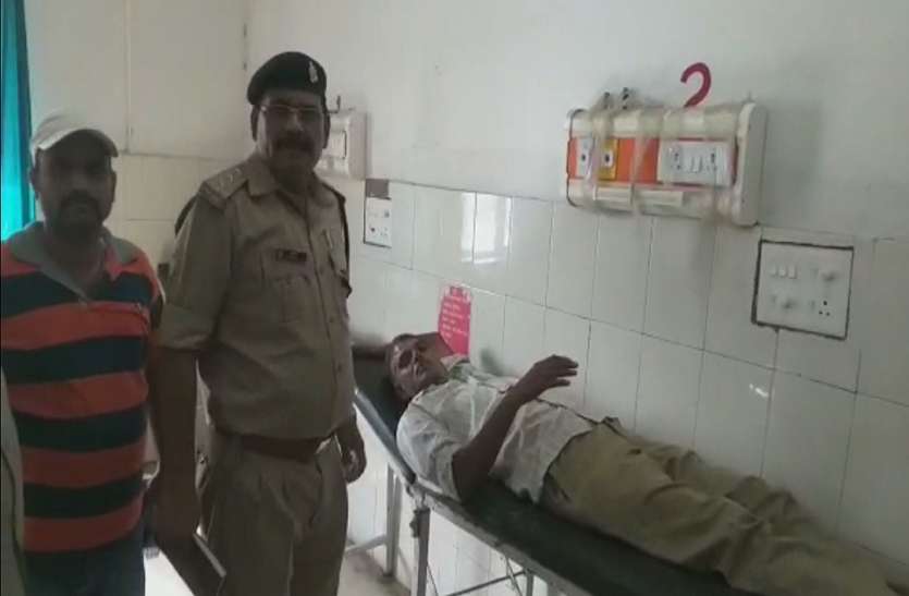 Home gaurd accident चुनाव ड्यूटी के लिए जा रही होमगार्ड से भरी ऑटो पेड़ से टकराई, छह लोग गंभीर घायल