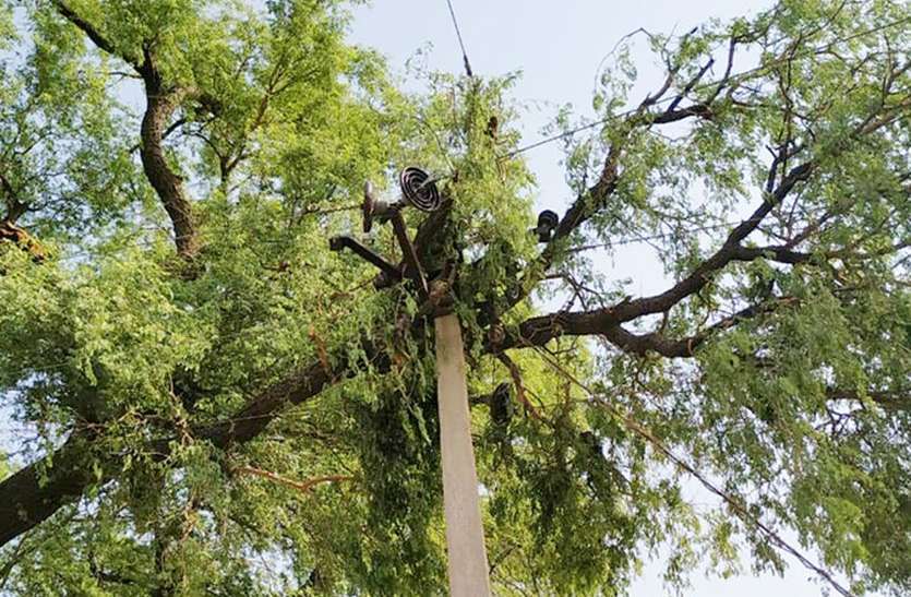kota 24 किमी प्रति घंटे की रफ्तार से चली हवाएं, मौसम हुआ खुशनुमा