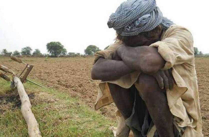 farmers कर्ज नहीं चुका पाने वाले जगदलपुर के दोनों किसान रिहा, धोखाधड़ी करने वालों पर कार्रवाई के निर्देश