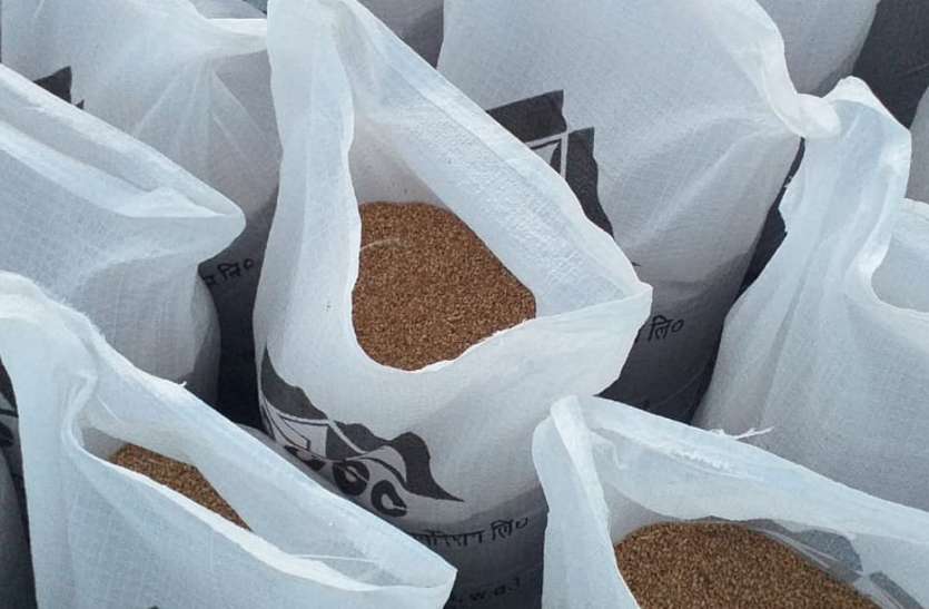 Bumper yield of wheat in Panna district, support for other districts for storage पन्ना जिले में गेहूं की बंपर पैदावार, भंडारण के लिए दूसरे जिलों का सहारा