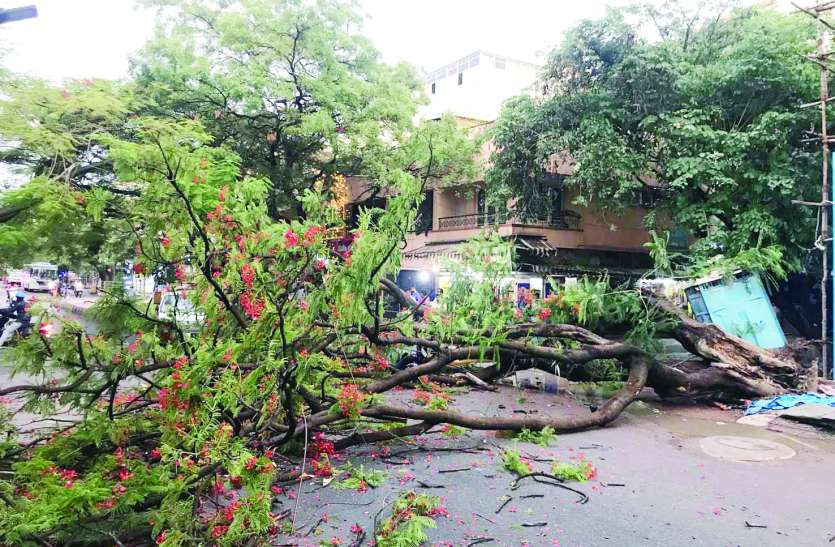 MONSOON बेंगलूरु में बारिश का त्राहिमाम, कहीं पेड़ गिरे तो कहीं कार का निकला कचूमर