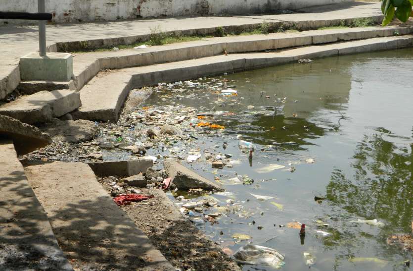 seoni संक्रमित मच्छर से होता है मलेरिया, डेंगू व चिकनगुनिया, रहिए सावधान