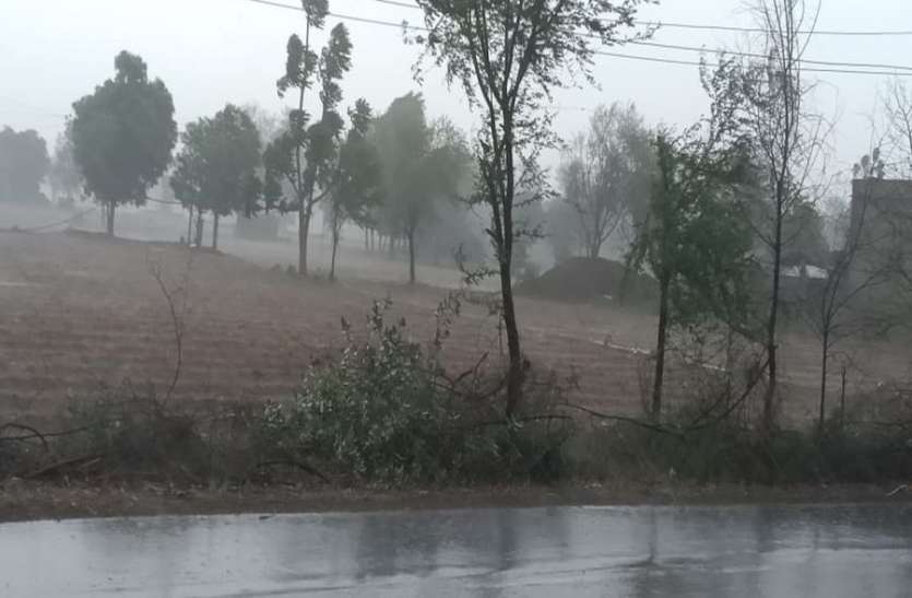 DAUSA WEATHER NEWS मौसम का बदला मिजाज, शादियों में उड़े टैंट-पाण्डाल