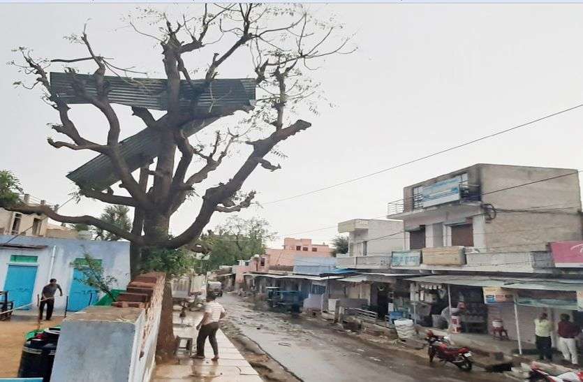 Thunderstorm: पेड़-खंभे एक झटके में धरायाशी, 28 से अधिक गांव-ढाणियों में सप्लाई बाधित, तस्वीरों में देखे तबाही का खौफनाक मंजर