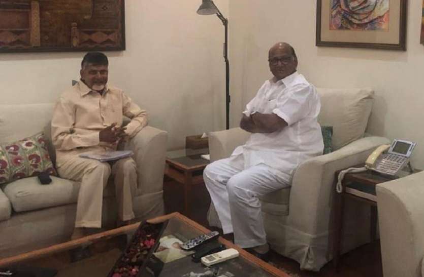 chandra babu naidu and sharad pawar चंद्रबाबू नायडू ने शरद पवार से की मुलाकात, नई सरकार के गठन को लेकर हुई चर्चा