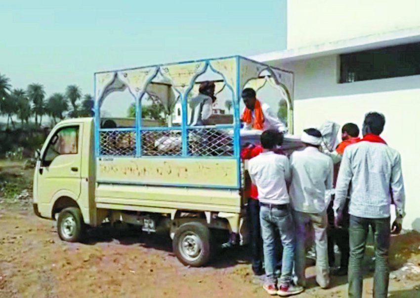 Bike collides with tree, two die पेड़ से टकराई बाइक, दो की गई जान