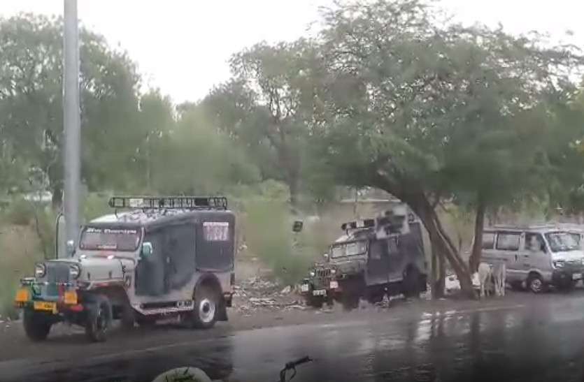 rain राजसमंद में बारिश-तूफान का कहर, बिजली गिरने से कई बकरियों की मौत
