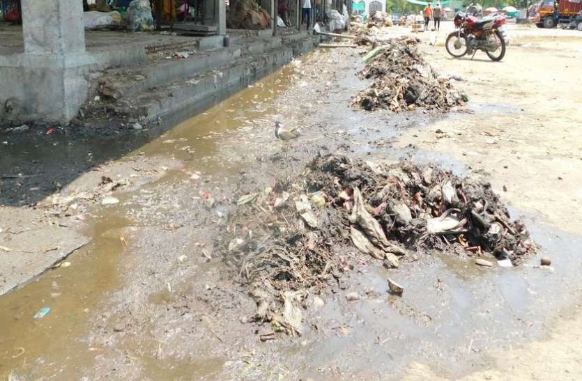 Largest Vegetable Market In Which You Will Be Sick - यह जिले की सबसे