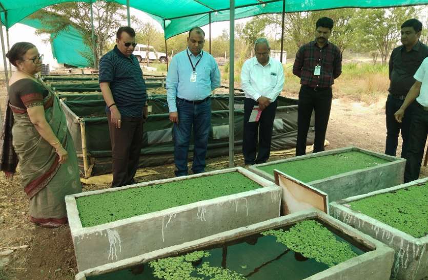 Agriculture, technology, power house, agricultural science center, scientist, farming, farmer, crop कृषि तकनीक विस्तार का पावर हाउस है कृषि विज्ञान केन्द्र : डांॅ. ओम गुप्ता