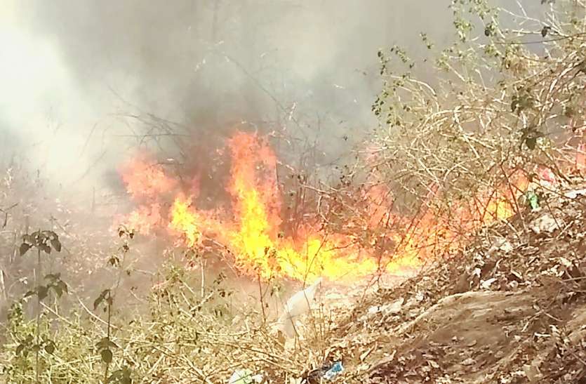 A fire in the nursery नर्सरी में लगी भीषण आग