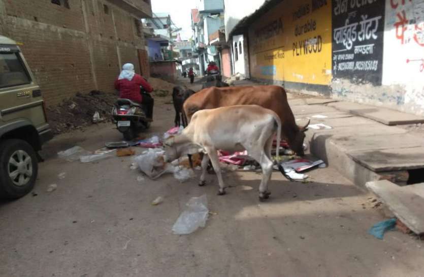 New Guide Line for Cleanliness Surveys स्वच्छता सर्वेक्षण के लिए नई गाइड लाइन, इस तरह दिए जाएंगे नंबर